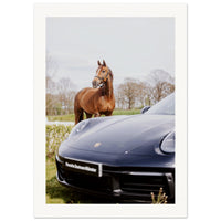 d5418075-181f-4b52-ac48-7bc5a40f5b2d