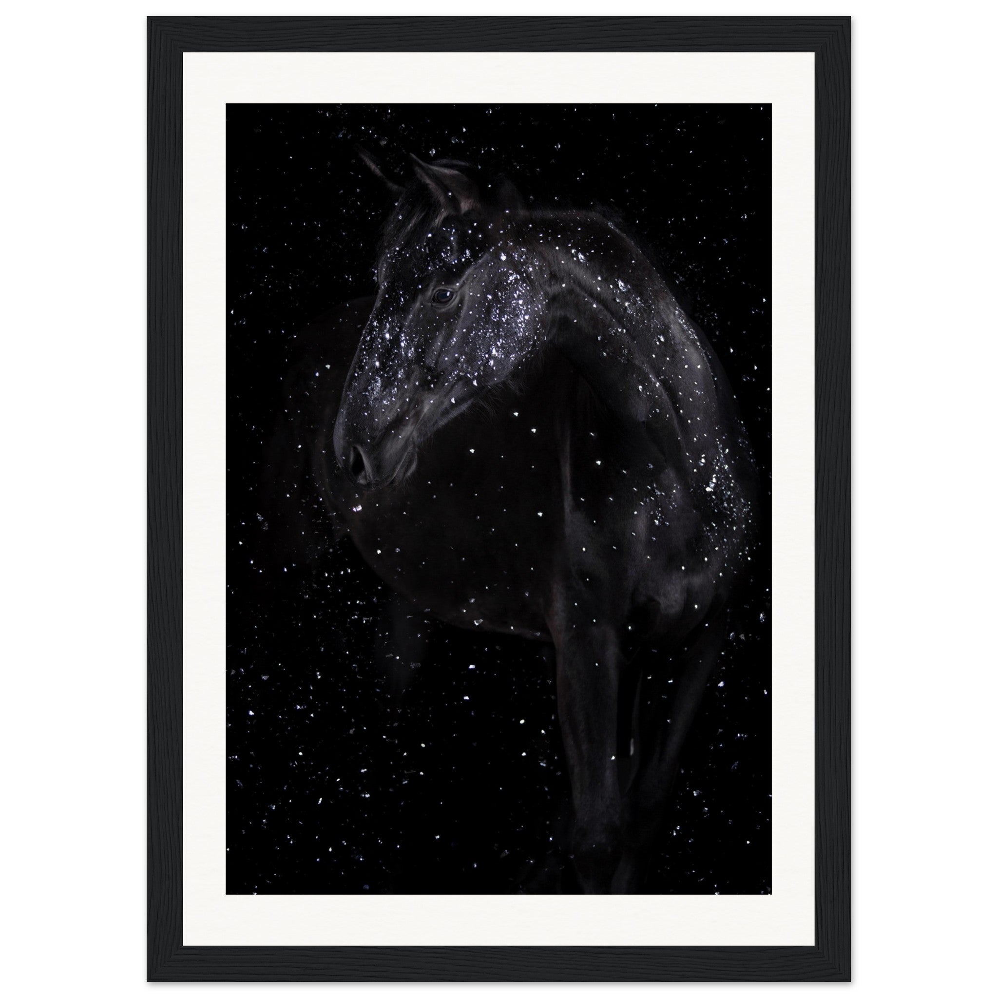 d5510d4f-00fa-48ac-b335-cefd223b0ec7