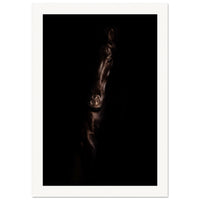 d559853c-bff2-4bc1-bdde-63a046076e8d