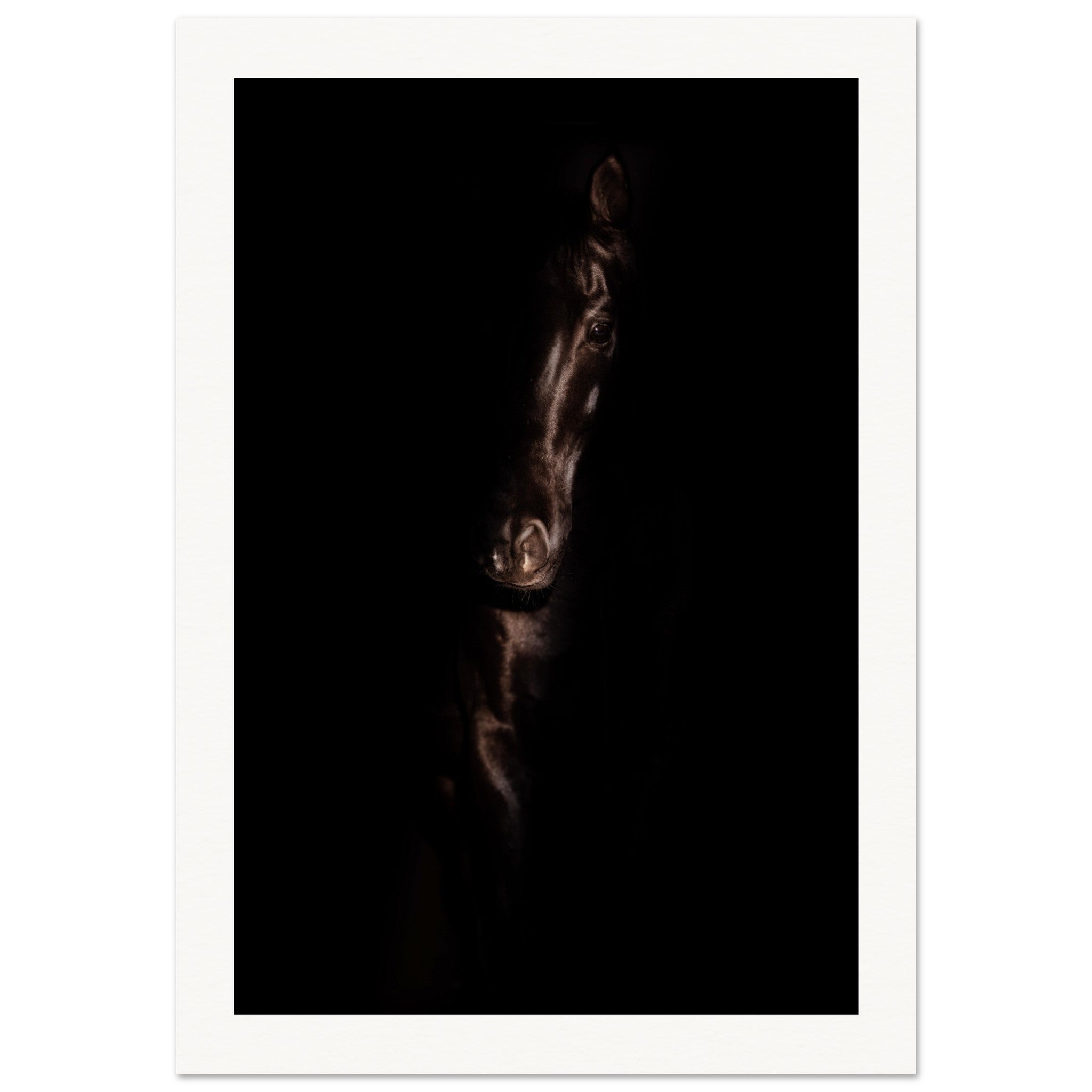 d559853c-bff2-4bc1-bdde-63a046076e8d