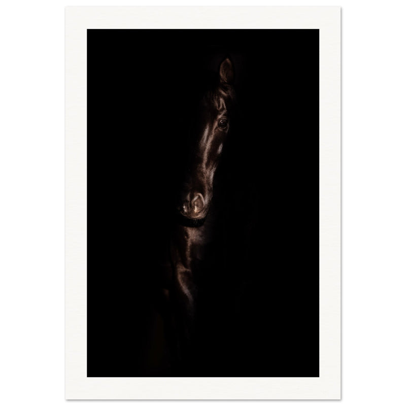 d559853c-bff2-4bc1-bdde-63a046076e8d