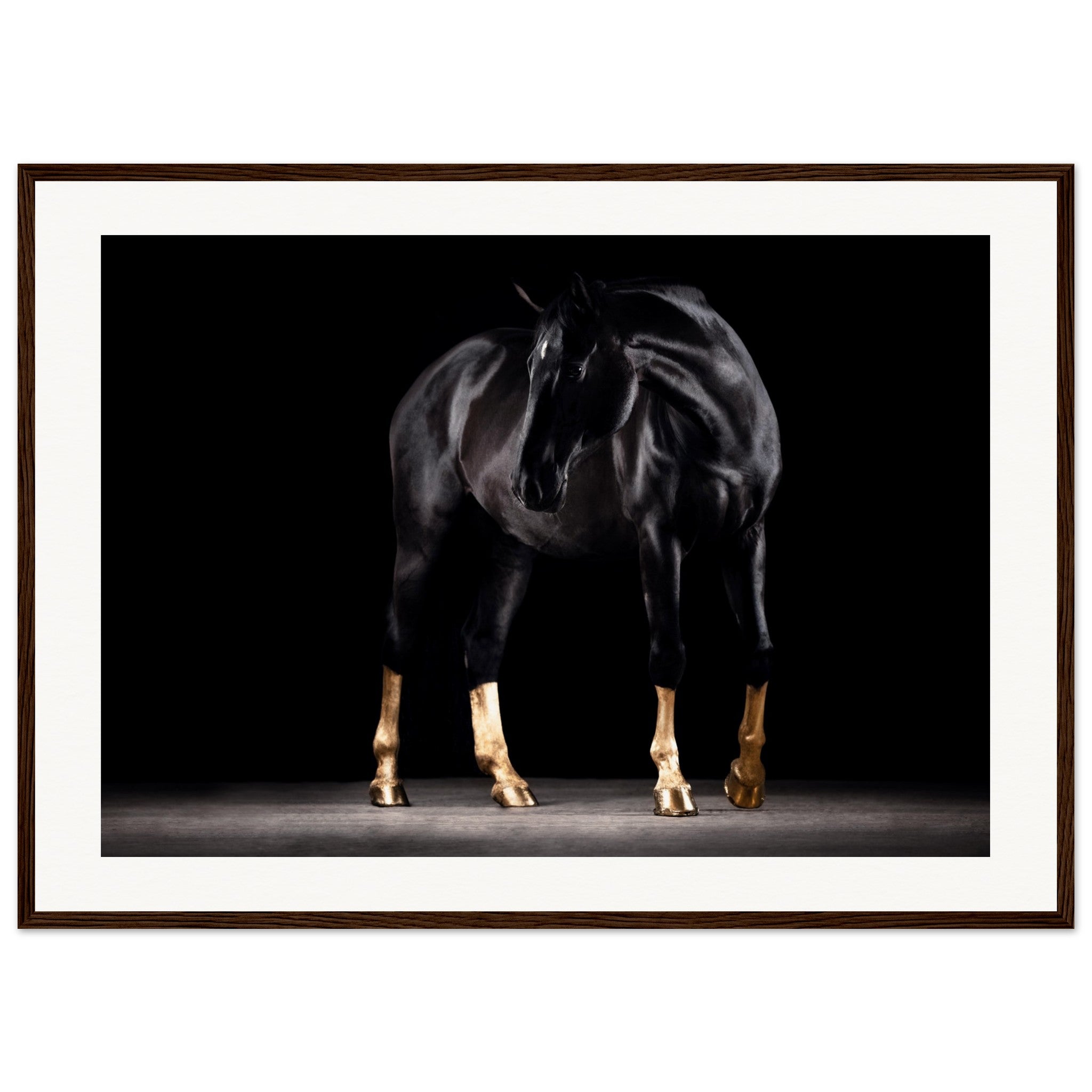 d5ae125e-69cd-46a3-a770-6977fc067498