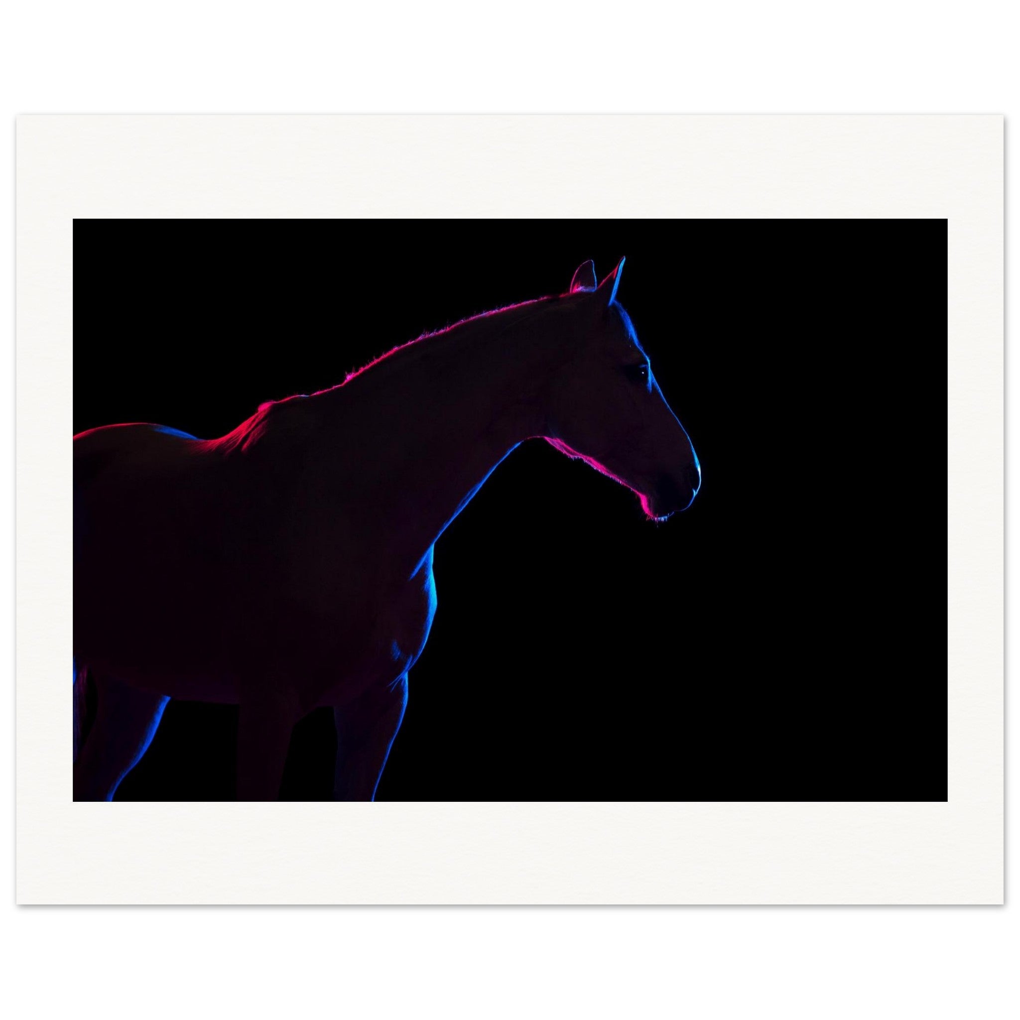 d5c4af5c-ff34-4d3a-ac8d-87290140d827