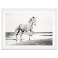 d5c6e593-f3ee-4010-b867-7fce3029be38