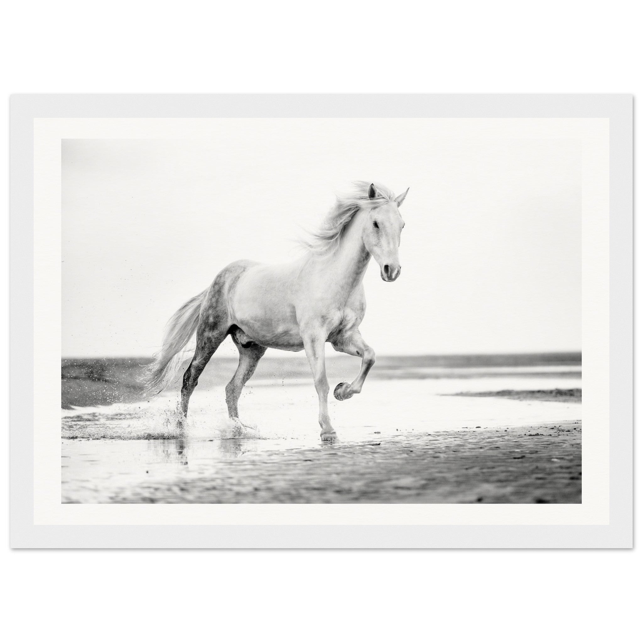 d5c6e593-f3ee-4010-b867-7fce3029be38