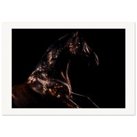 d5c896dd-d9be-4b22-a107-8012d864e570