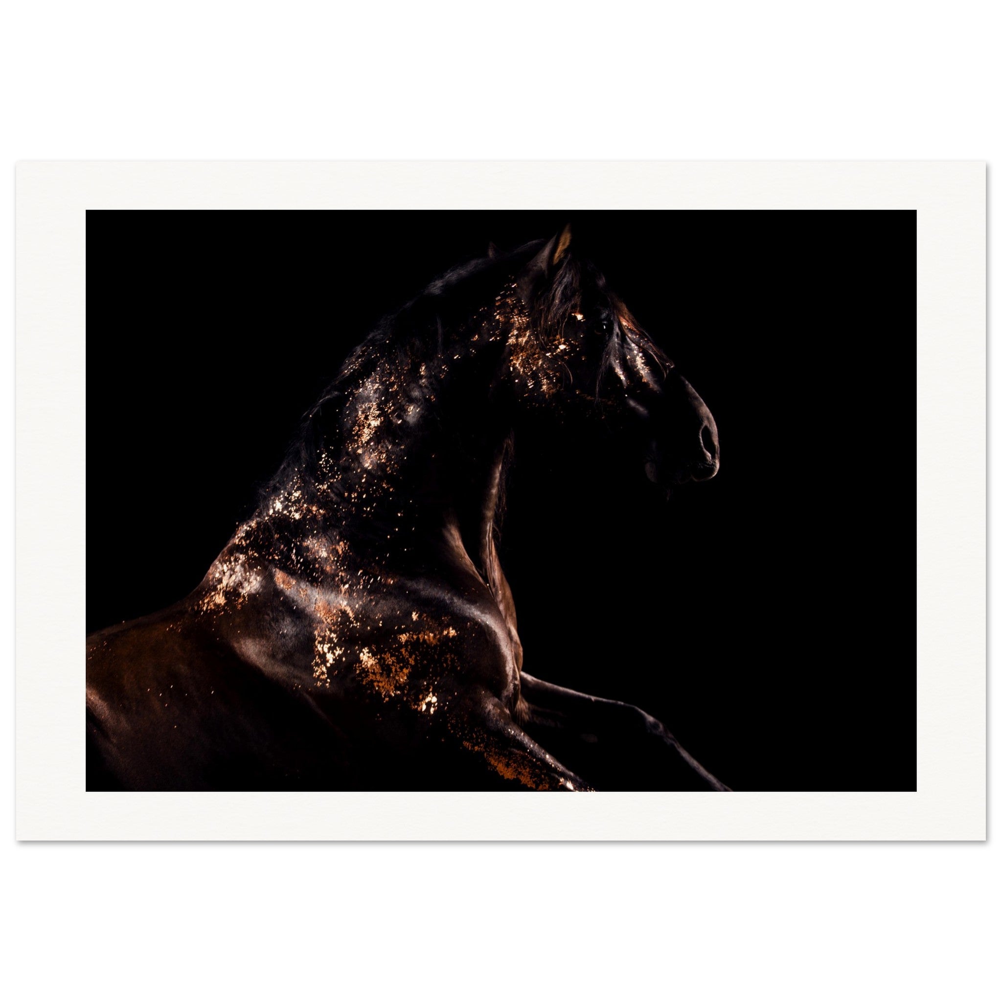 d5c896dd-d9be-4b22-a107-8012d864e570