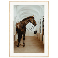 d6464486-a924-4593-8f50-2b7ff780c46a