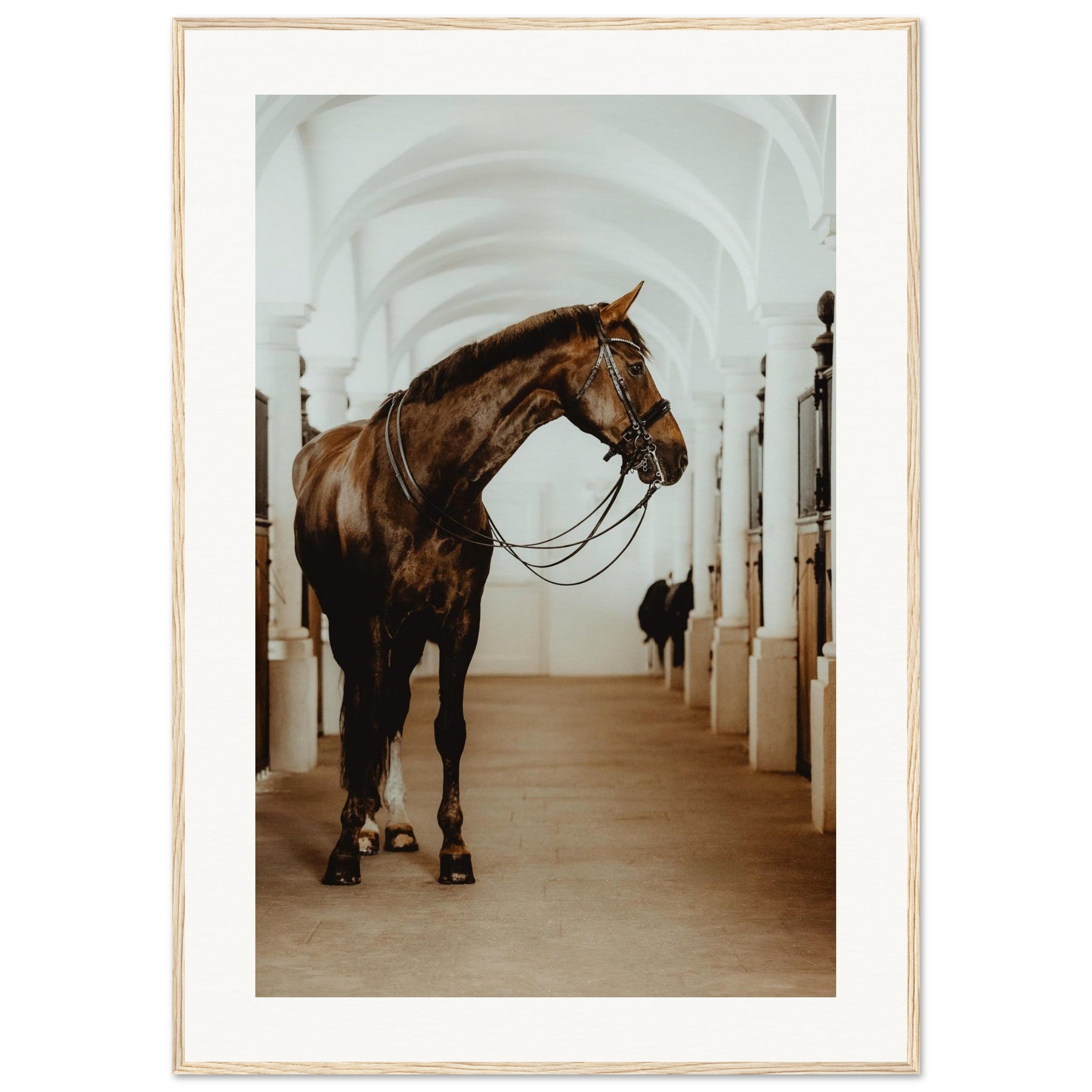 d6464486-a924-4593-8f50-2b7ff780c46a