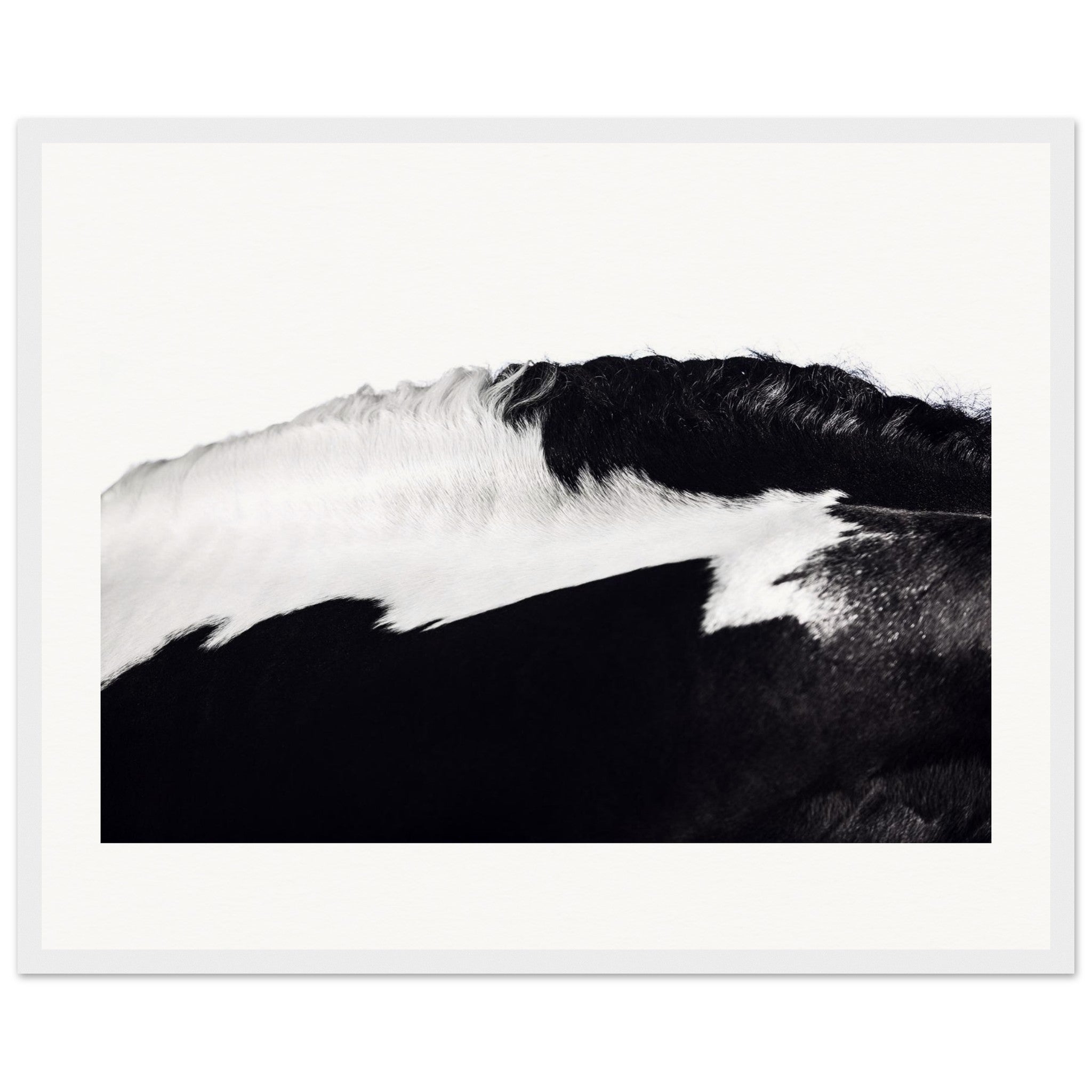 d6515ec2-e98c-4267-a8bc-e81844fcd779