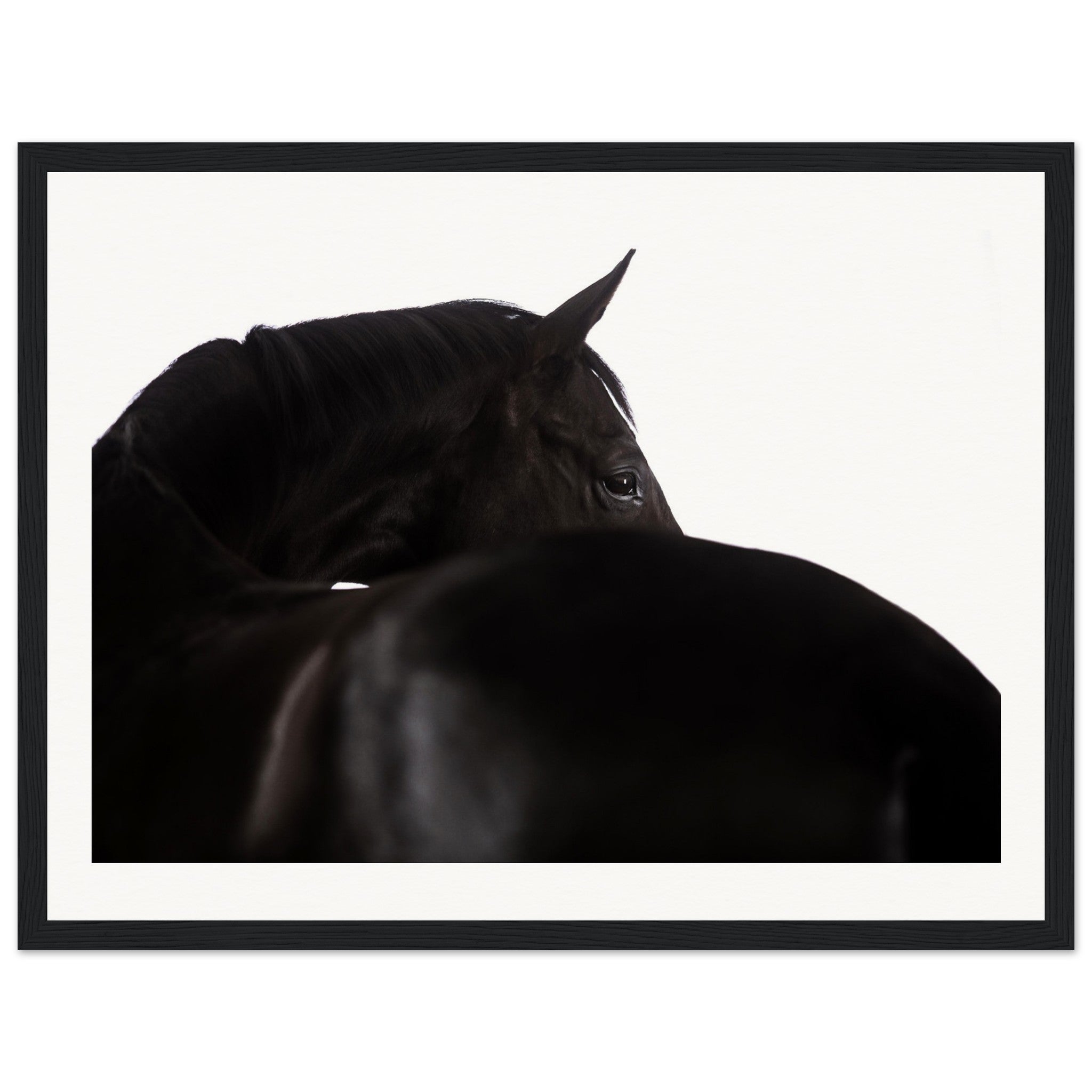 d6645896-1ed8-4920-a711-1b4b221125ba