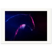 d6c184d5-4cd7-4543-9cf0-210c347dacca