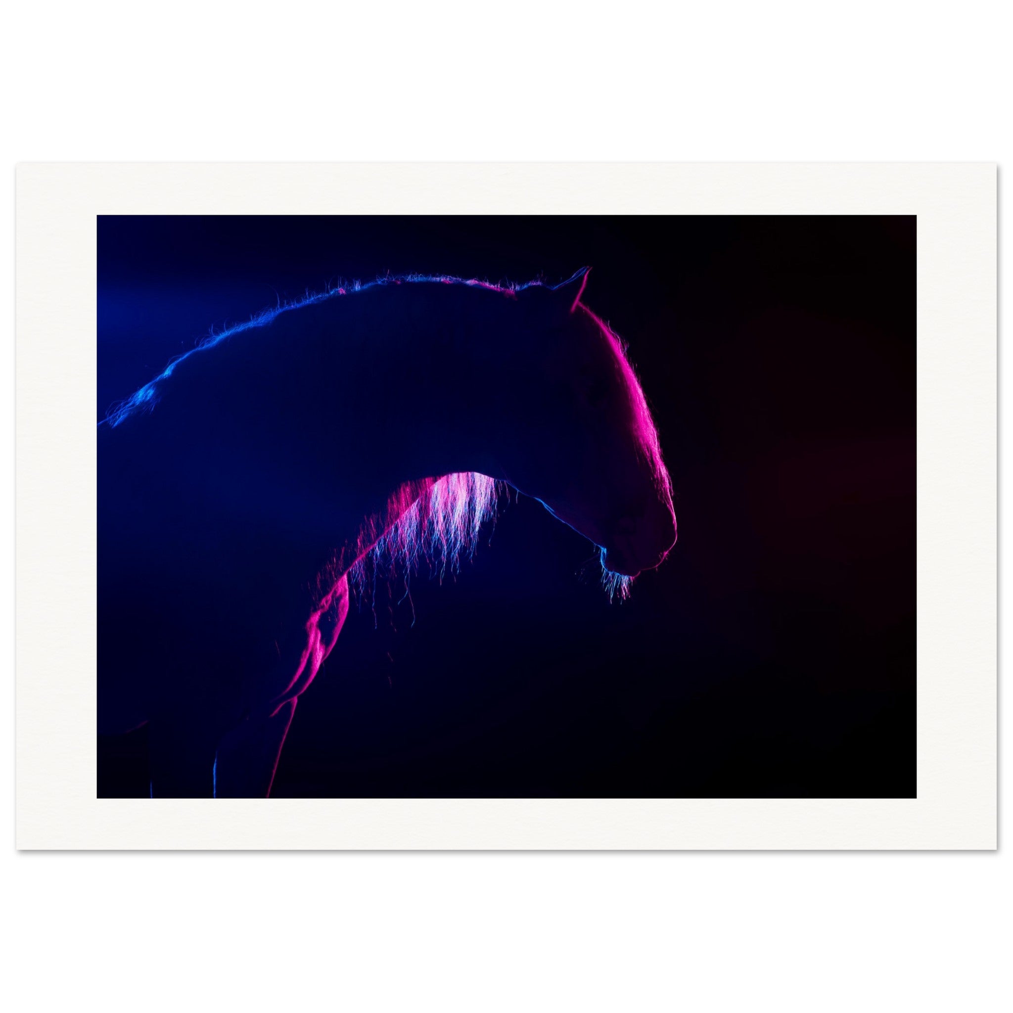 d6c184d5-4cd7-4543-9cf0-210c347dacca