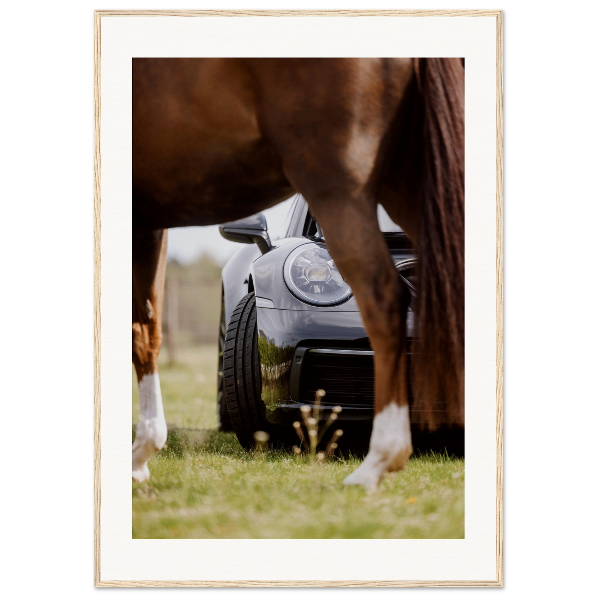 d6f88f7f-7f1b-4716-93e9-a2395b620848