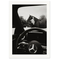 d712e317-a589-4dbe-a9a4-58154bc0df8e