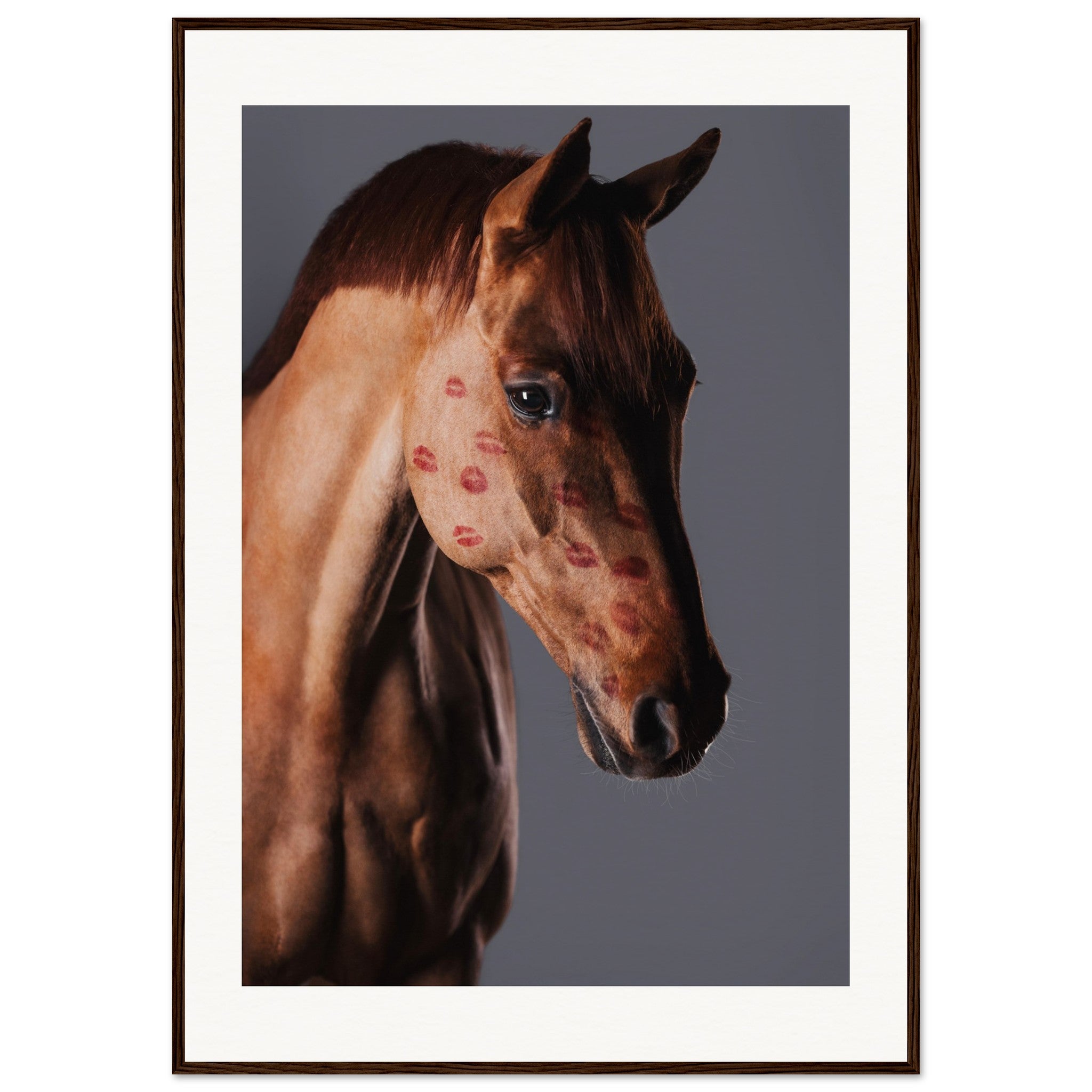 d749d2a5-f165-491f-872f-1fd62c687080