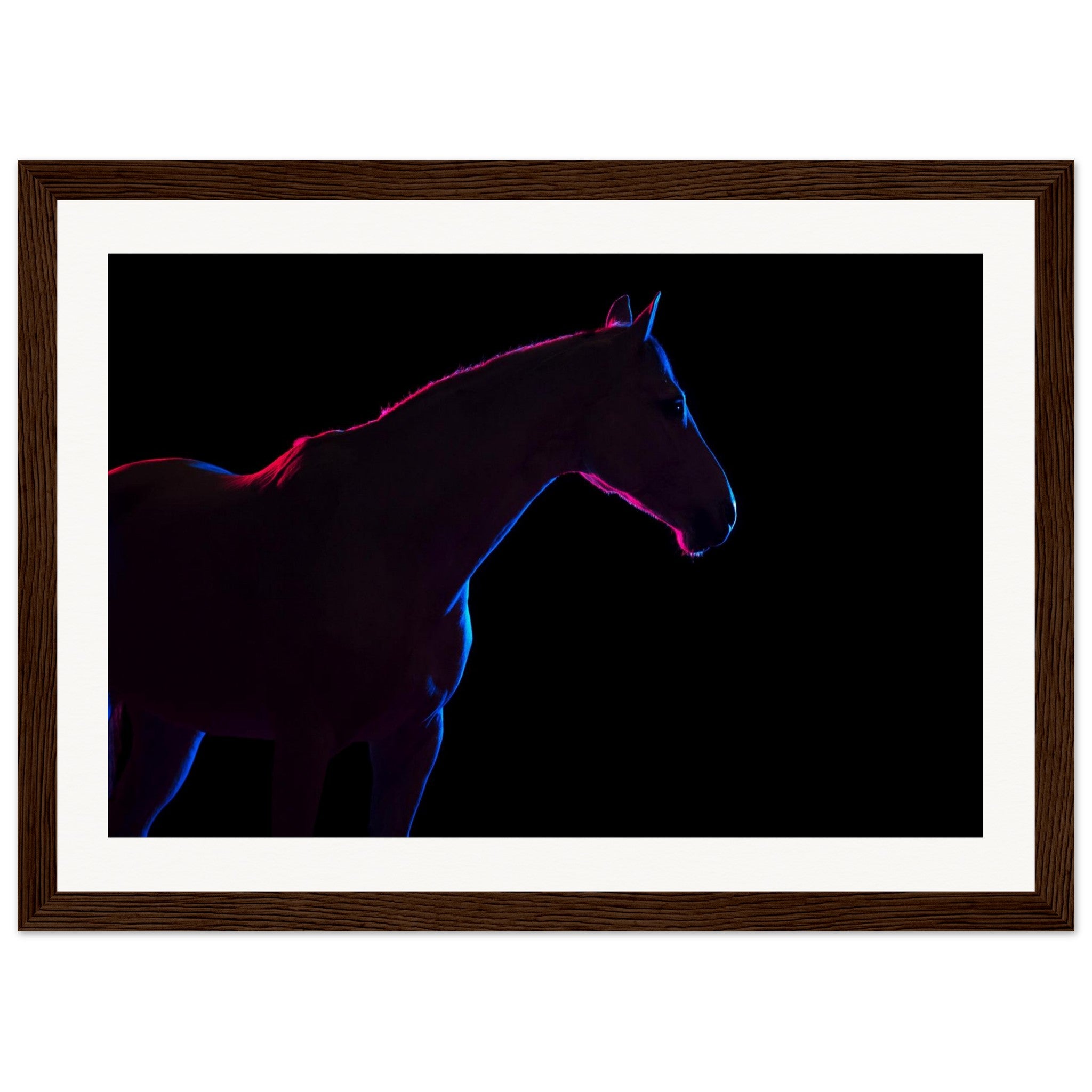 d759aab6-4881-4579-800d-bb118f8a6704