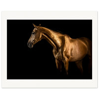 d7630836-98f0-4276-991d-e1fb9b7afc35