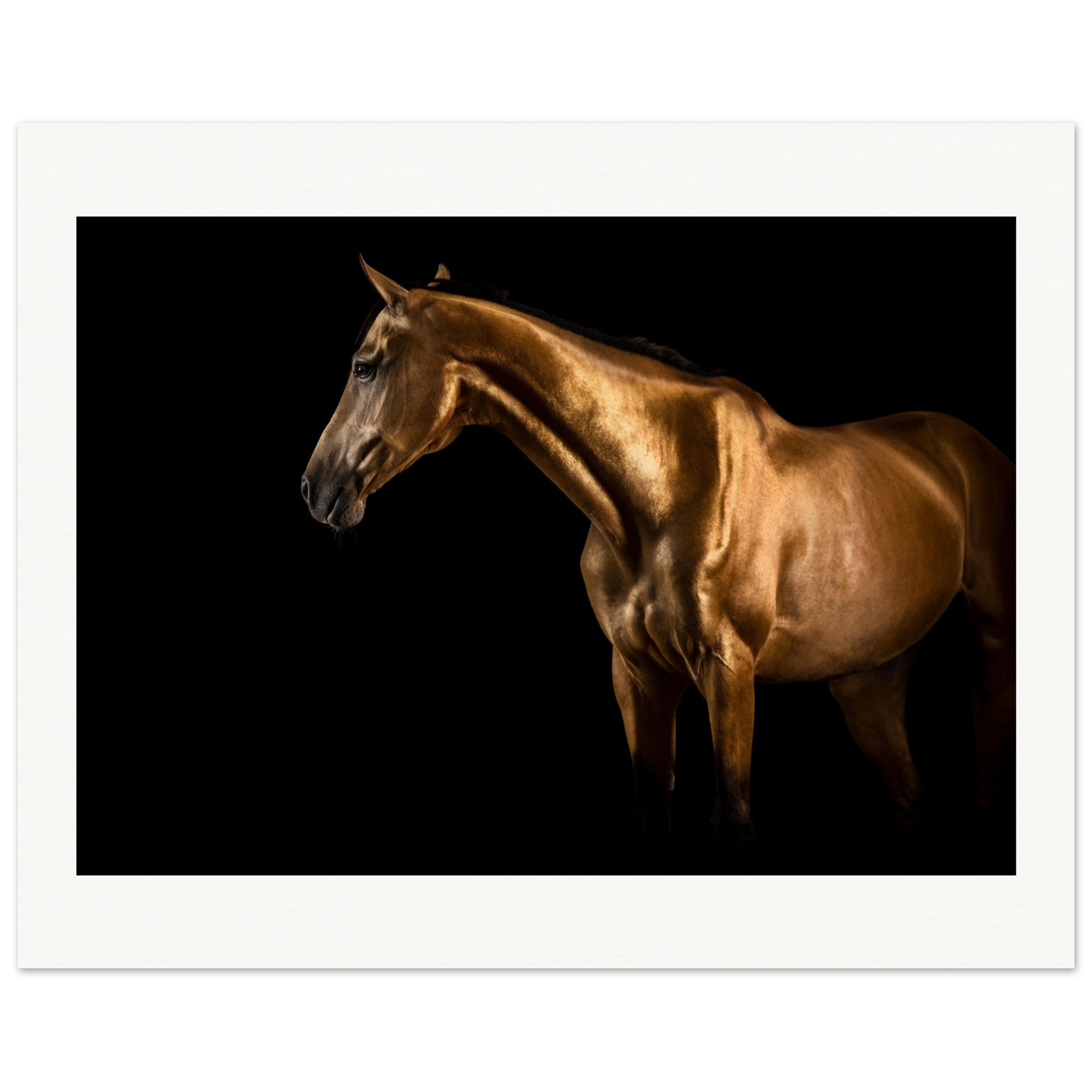 d7630836-98f0-4276-991d-e1fb9b7afc35