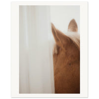 d7899f48-7de3-420c-a78a-0ef3a67fecf5