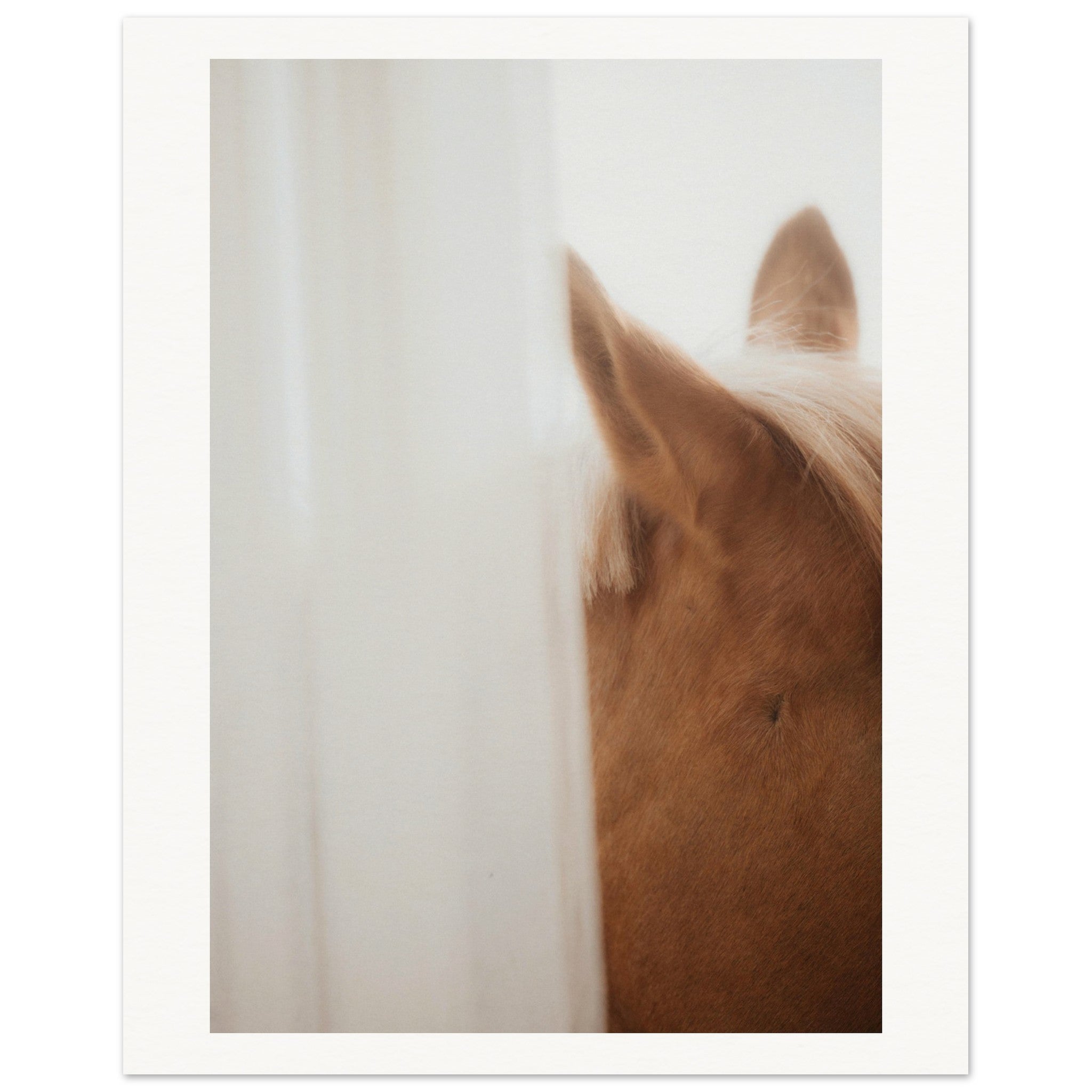 d7899f48-7de3-420c-a78a-0ef3a67fecf5