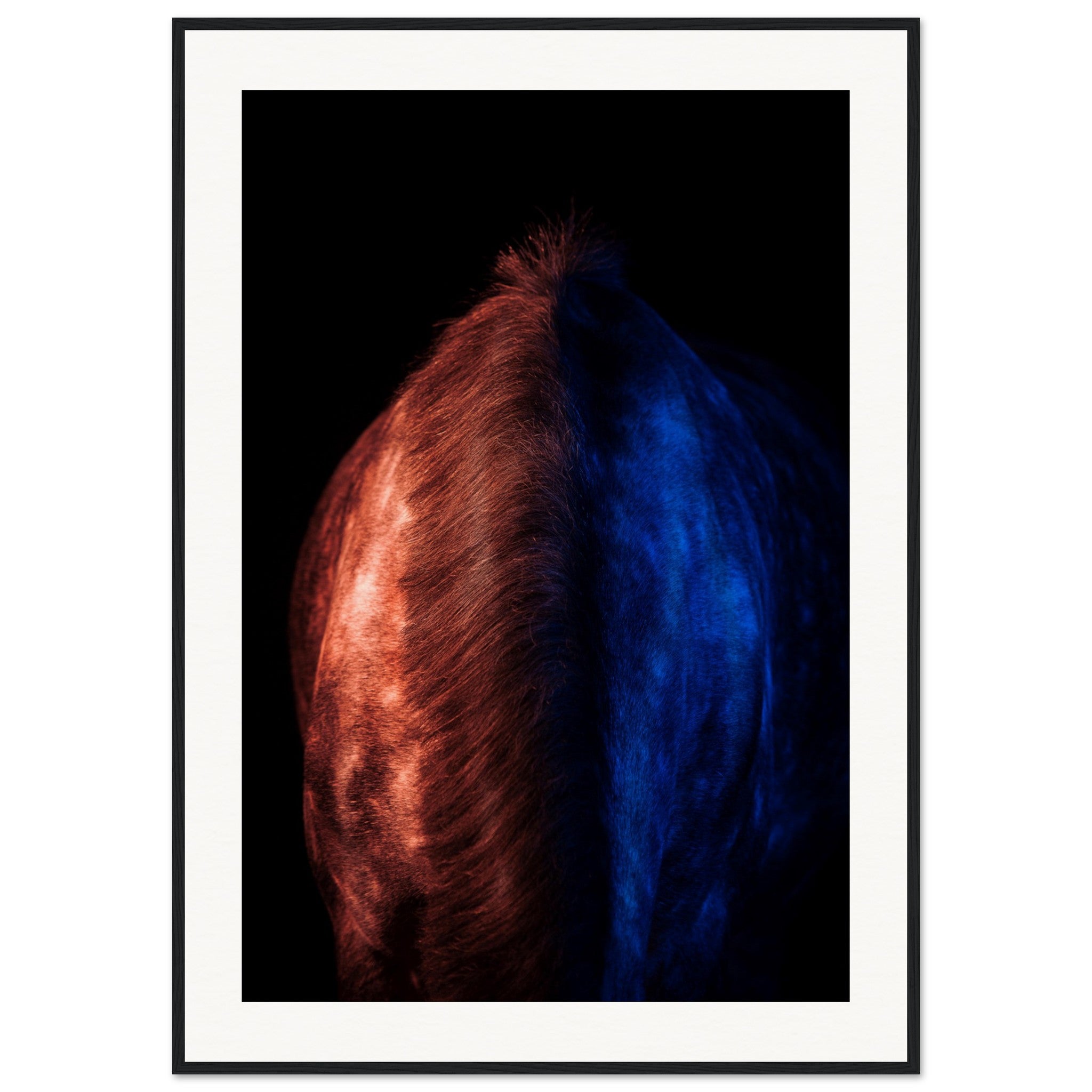 d7a4d212-bfb7-4d9a-9242-63eaf7ca86bd