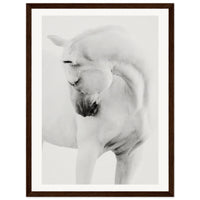 d7c6161e-821e-4e5c-9780-be6369fcfe8b