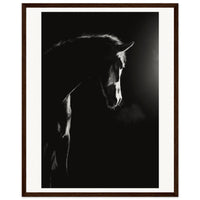 d7c8e5d2-bac4-47e8-982f-a42b7ba69407