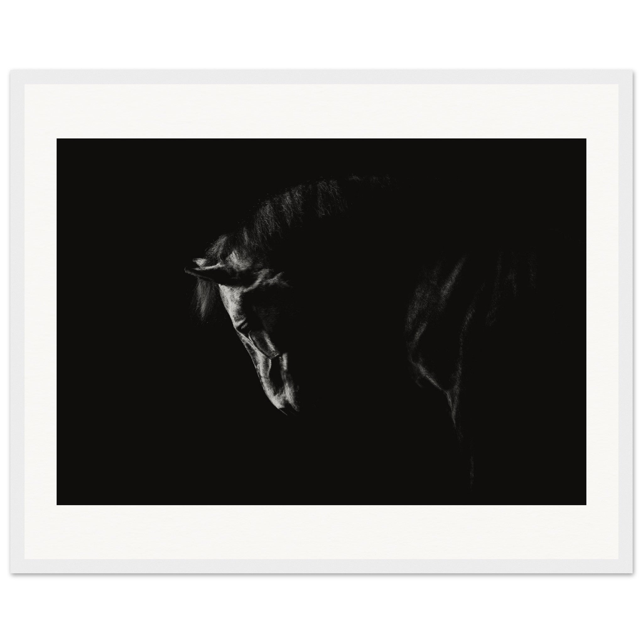 d7f75683-1e16-4c06-a7bb-9cf57f442802