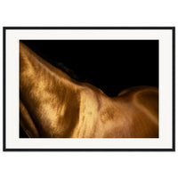 d824a44a-8e4f-47ca-a98d-8b8d692c8aa4