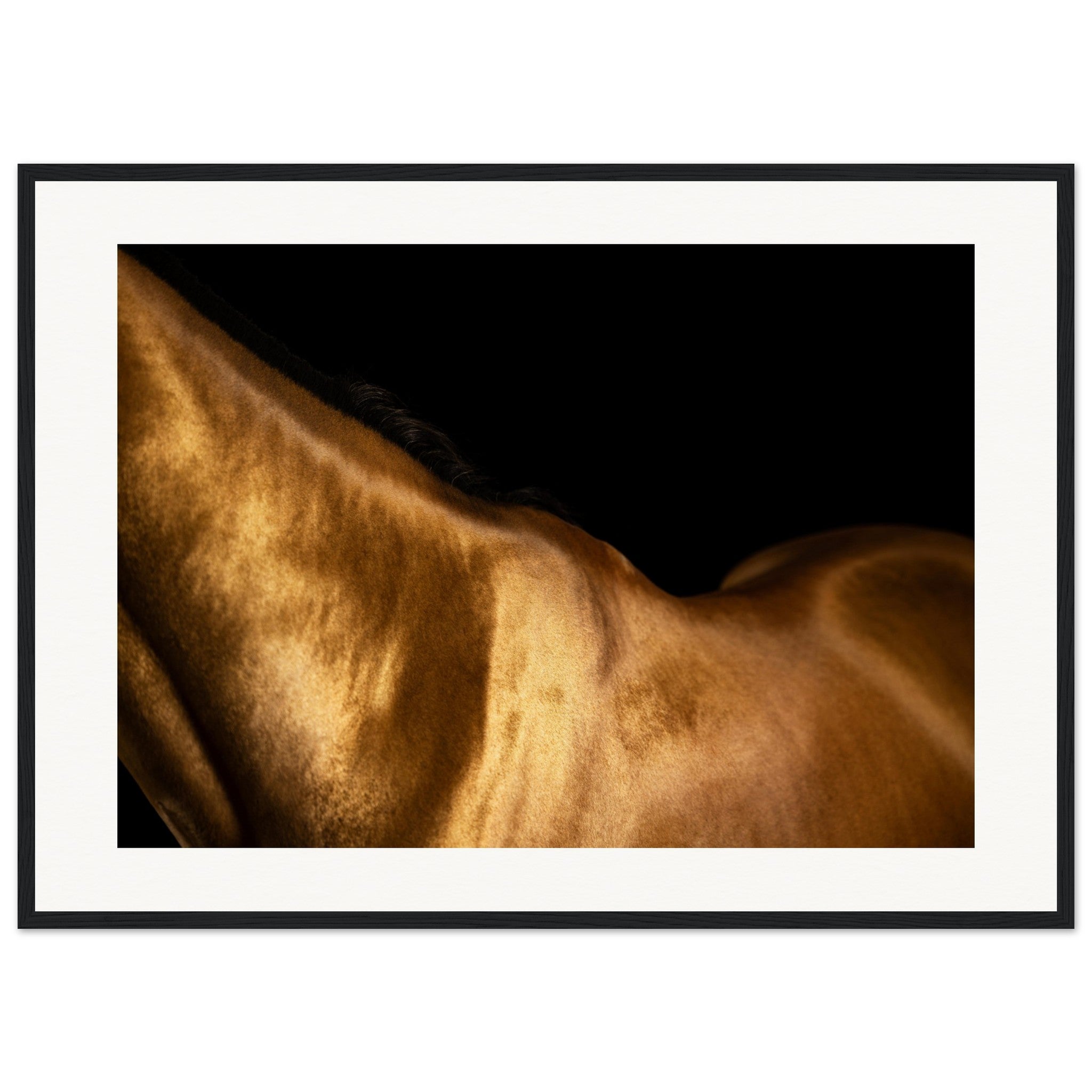 d824a44a-8e4f-47ca-a98d-8b8d692c8aa4