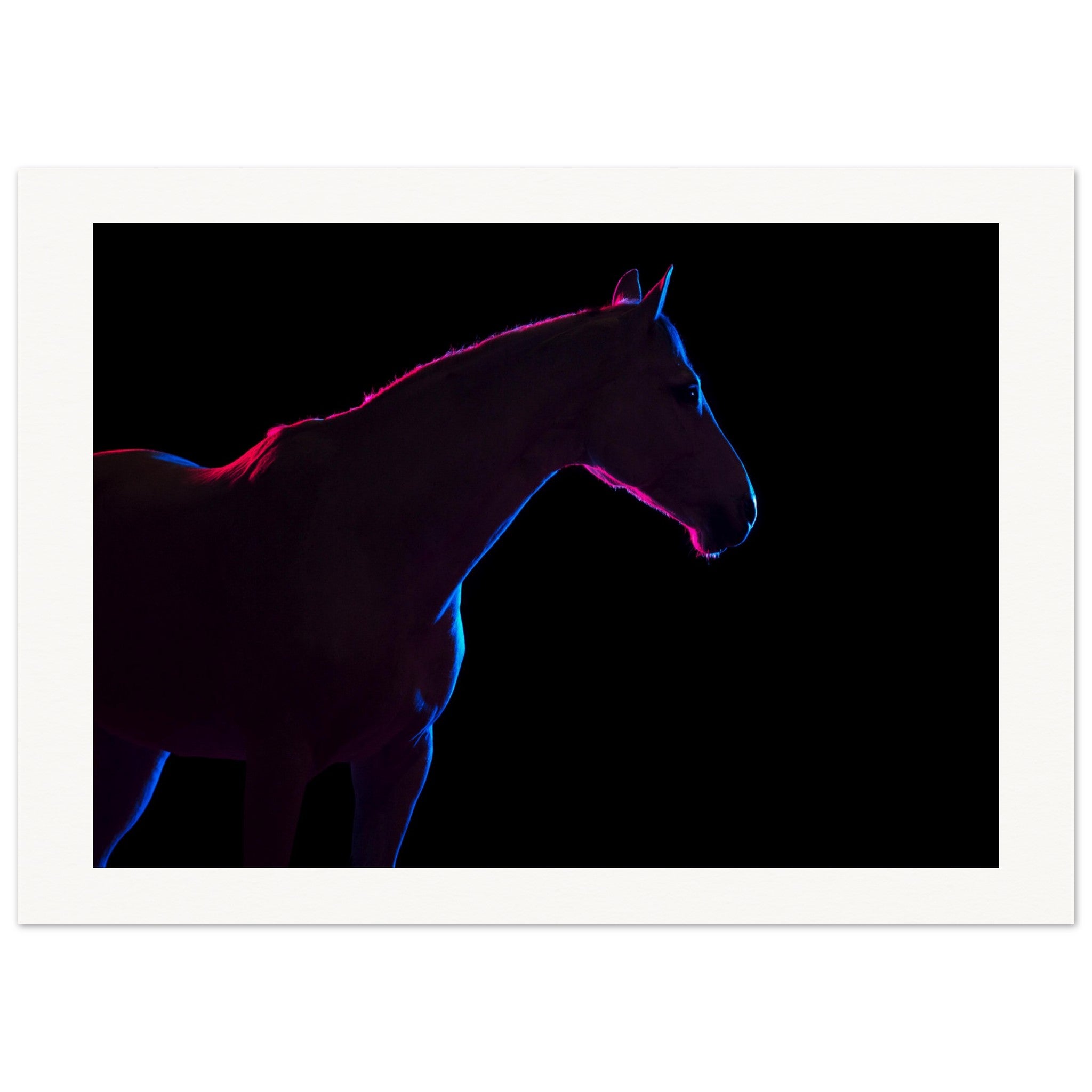 d878cb38-5e27-4466-aa3c-a13ce062fe13