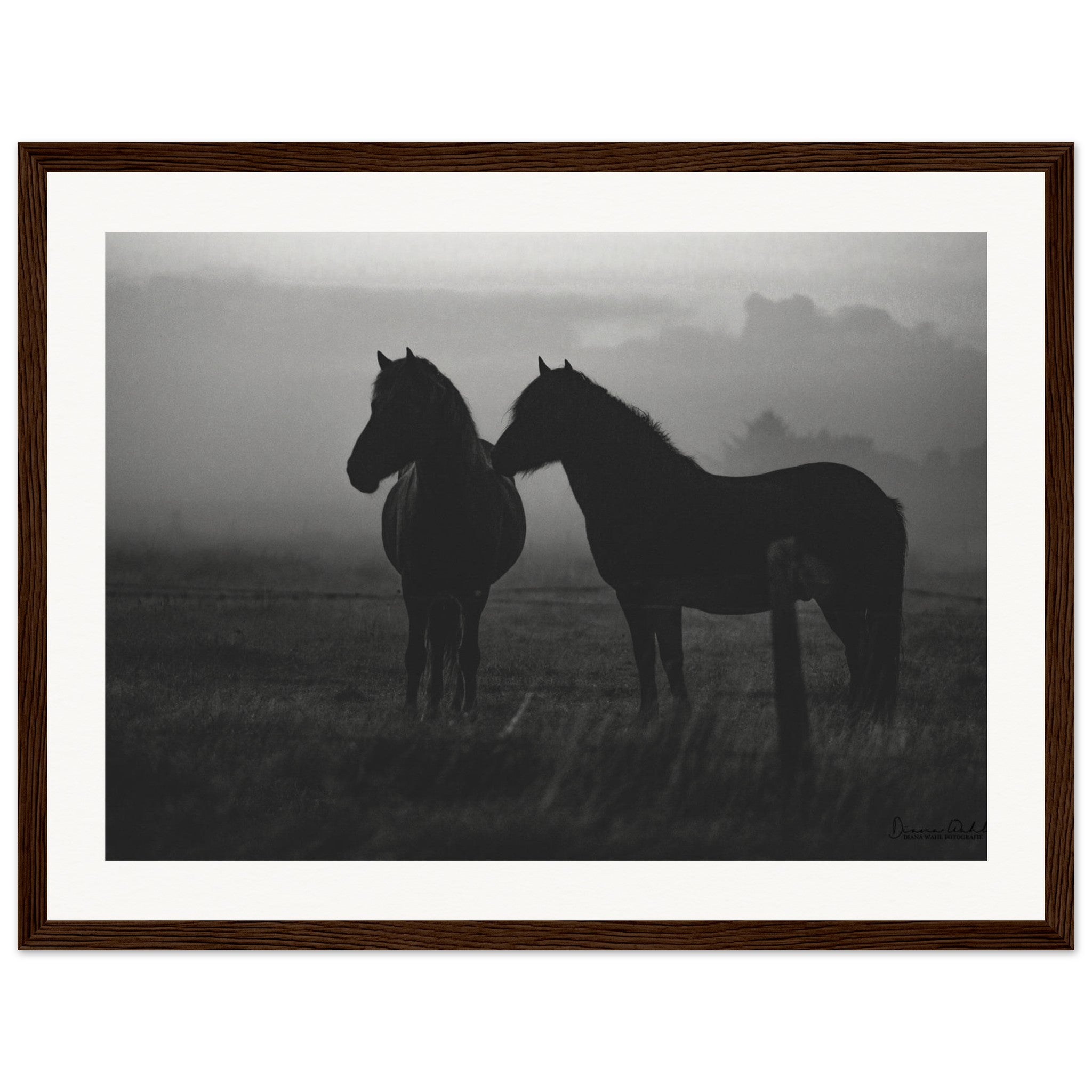 d8bbe4ad-ed60-4505-900e-a32675eaf97d