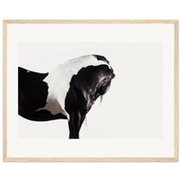 d8c8c951-4838-4e06-a76c-28367e736d6d