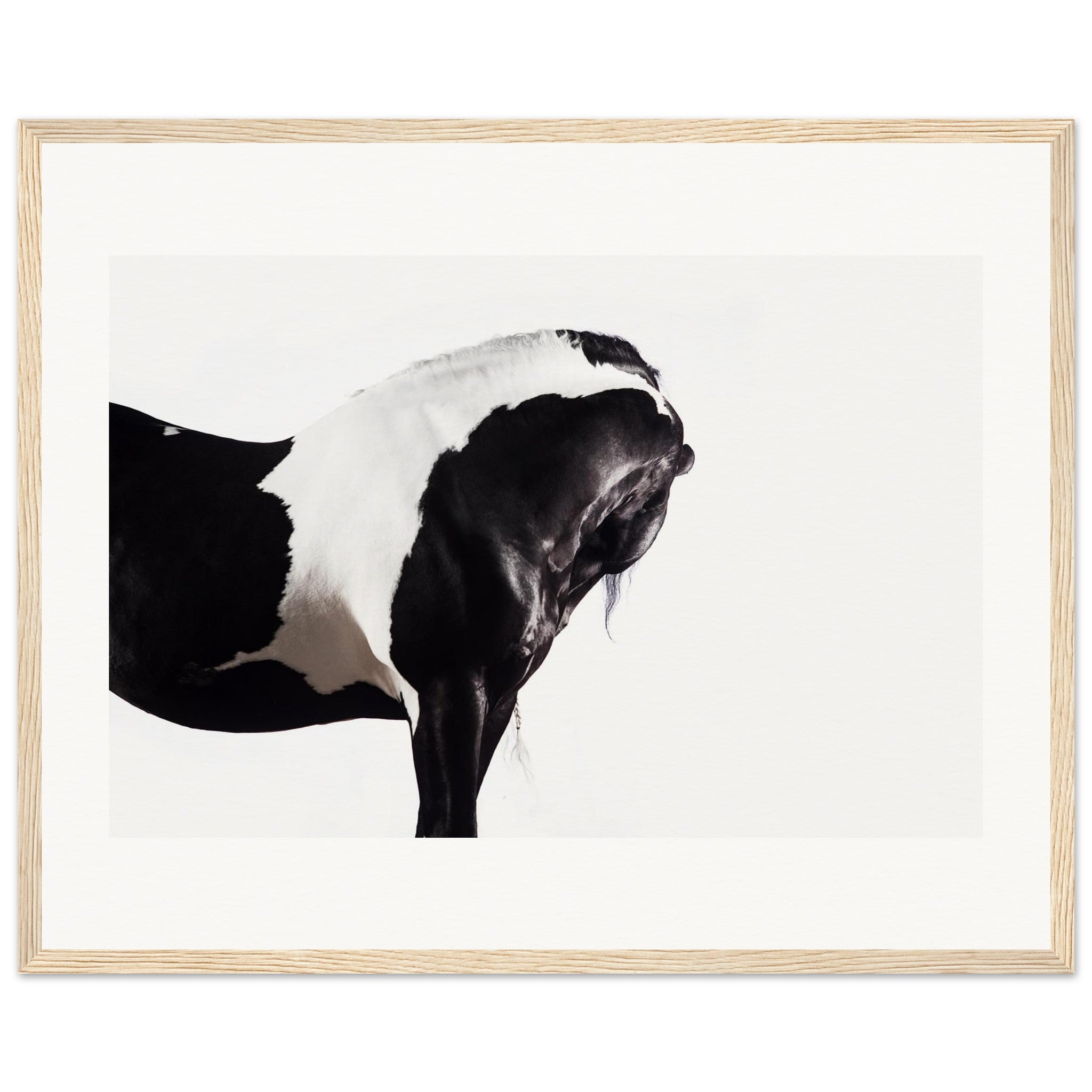 d8c8c951-4838-4e06-a76c-28367e736d6d