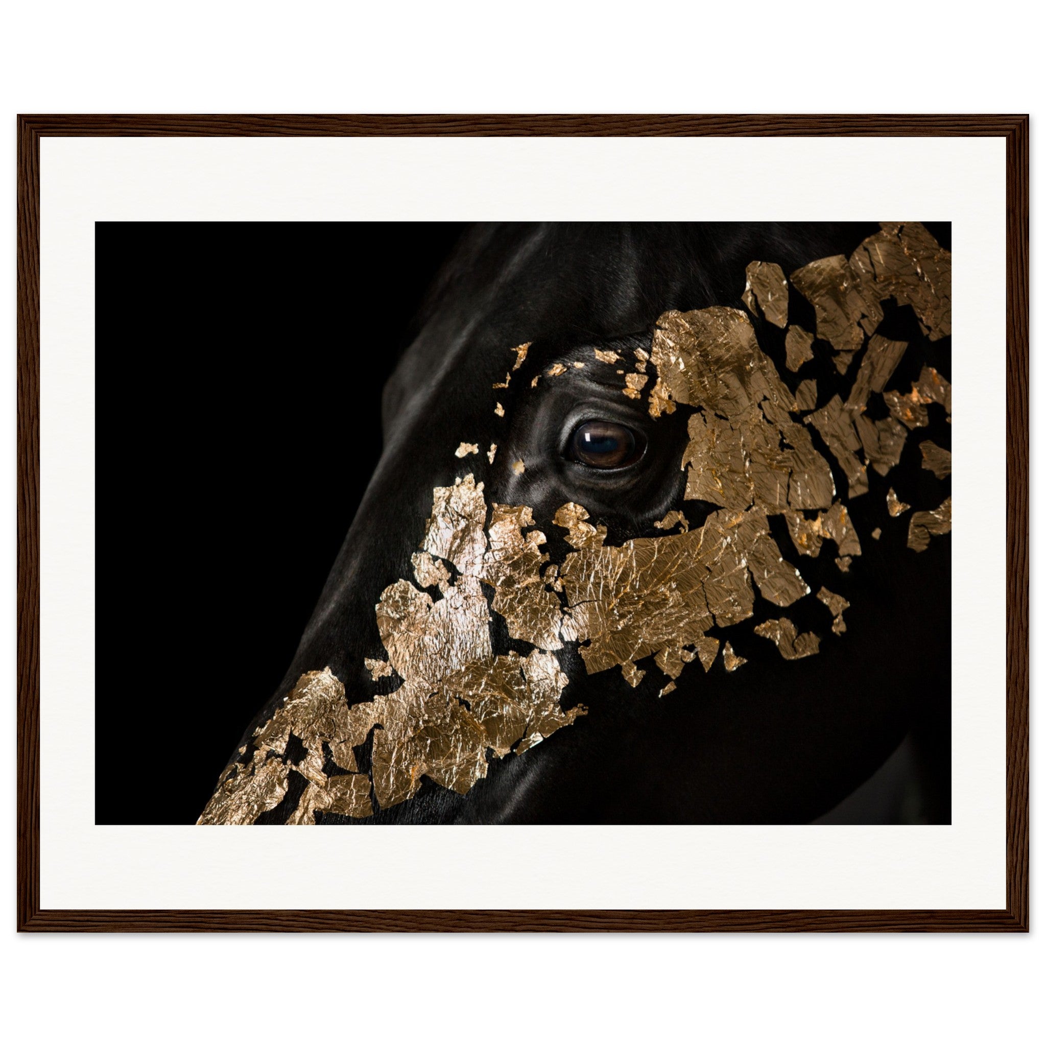 d8e29c29-6b0e-4b1a-a9bf-25bc7bcfd728