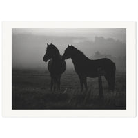 d8e766b4-acb8-4e9d-99d5-6e9c6fe0cecf