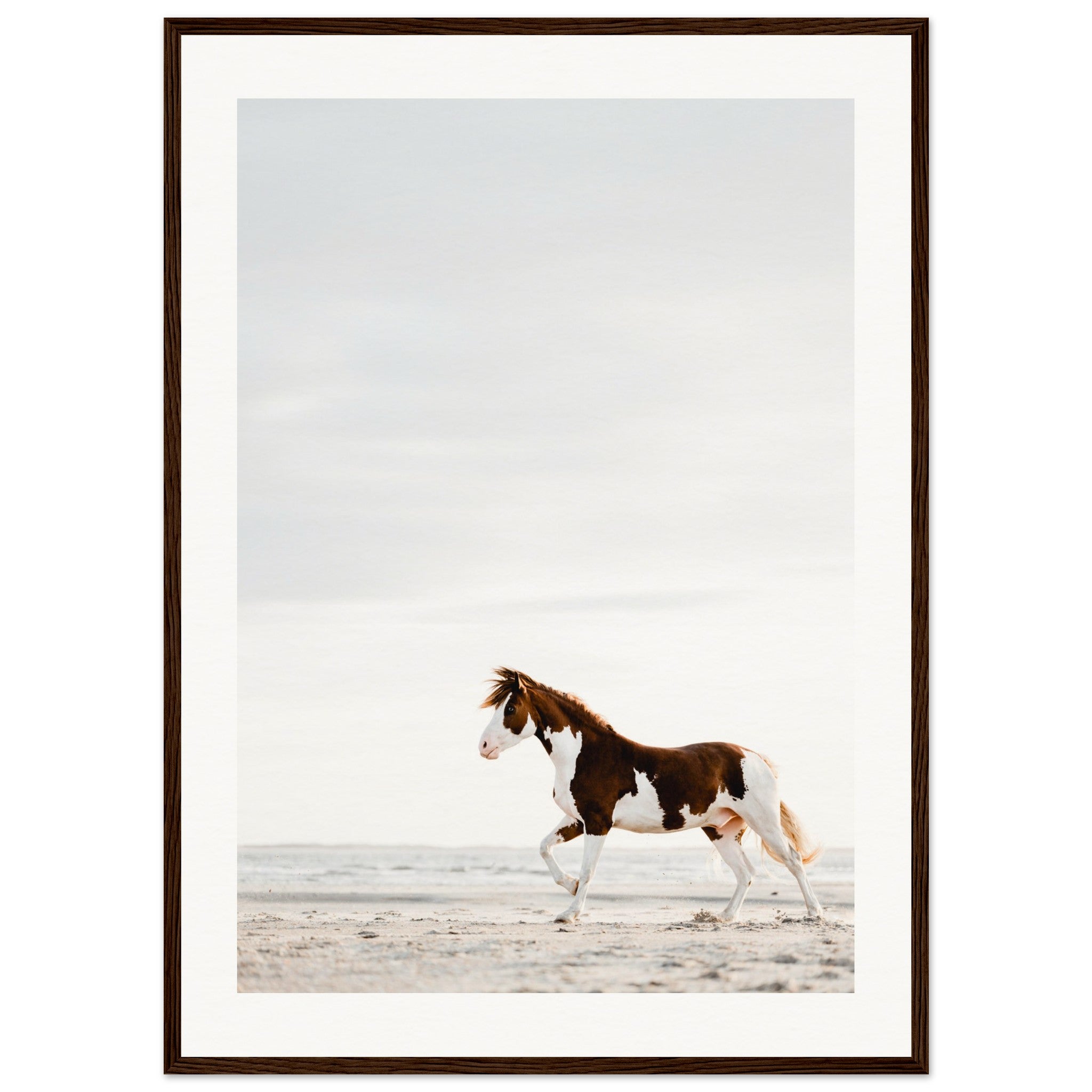 d8e88141-3baa-4b12-84e0-a3d686ee2da6