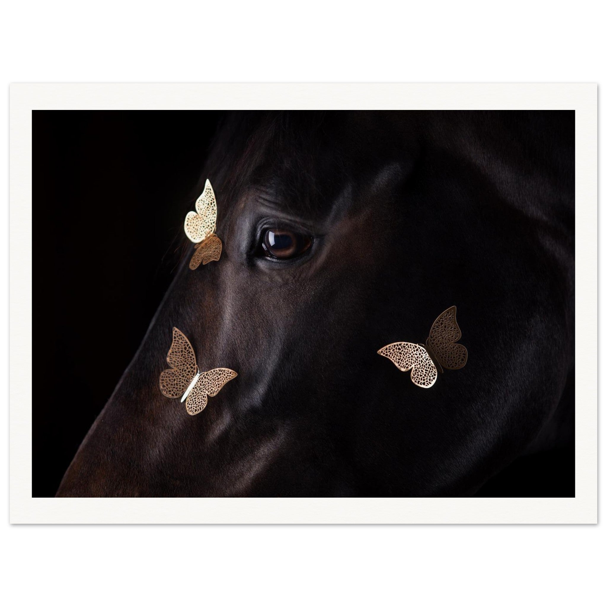 d8eb3fbf-9545-45f1-b7e0-58f1c7e89af4