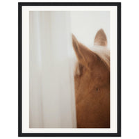 d9053cee-0a00-45fc-add3-87a2aa0f543a