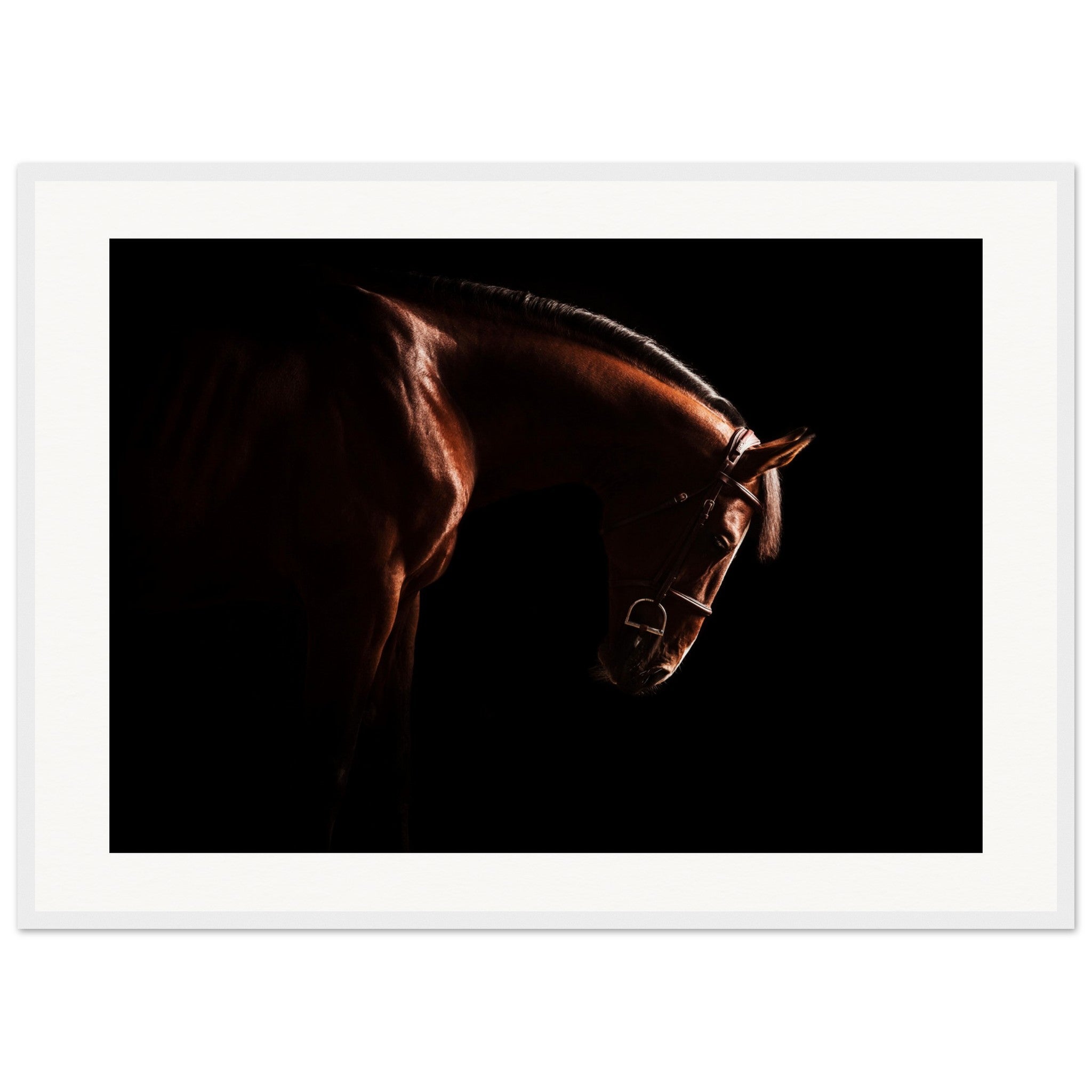 d9077e31-2ced-4bf4-b246-974964916cc5