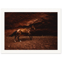 d90dac97-9cdb-4c05-a37b-a749a64862ab