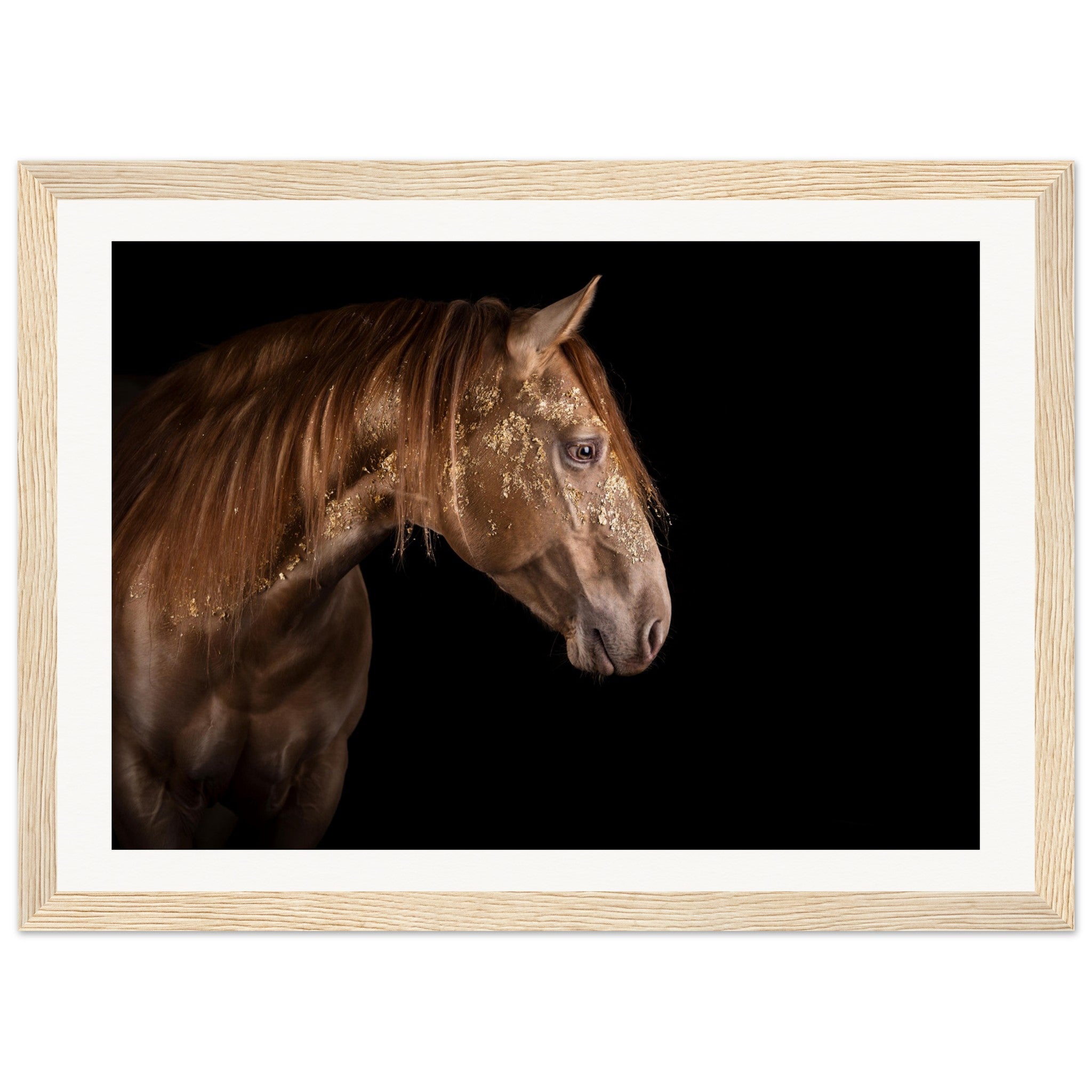 d952c66c-f29a-43b6-a770-e0f2e2ed5b5f