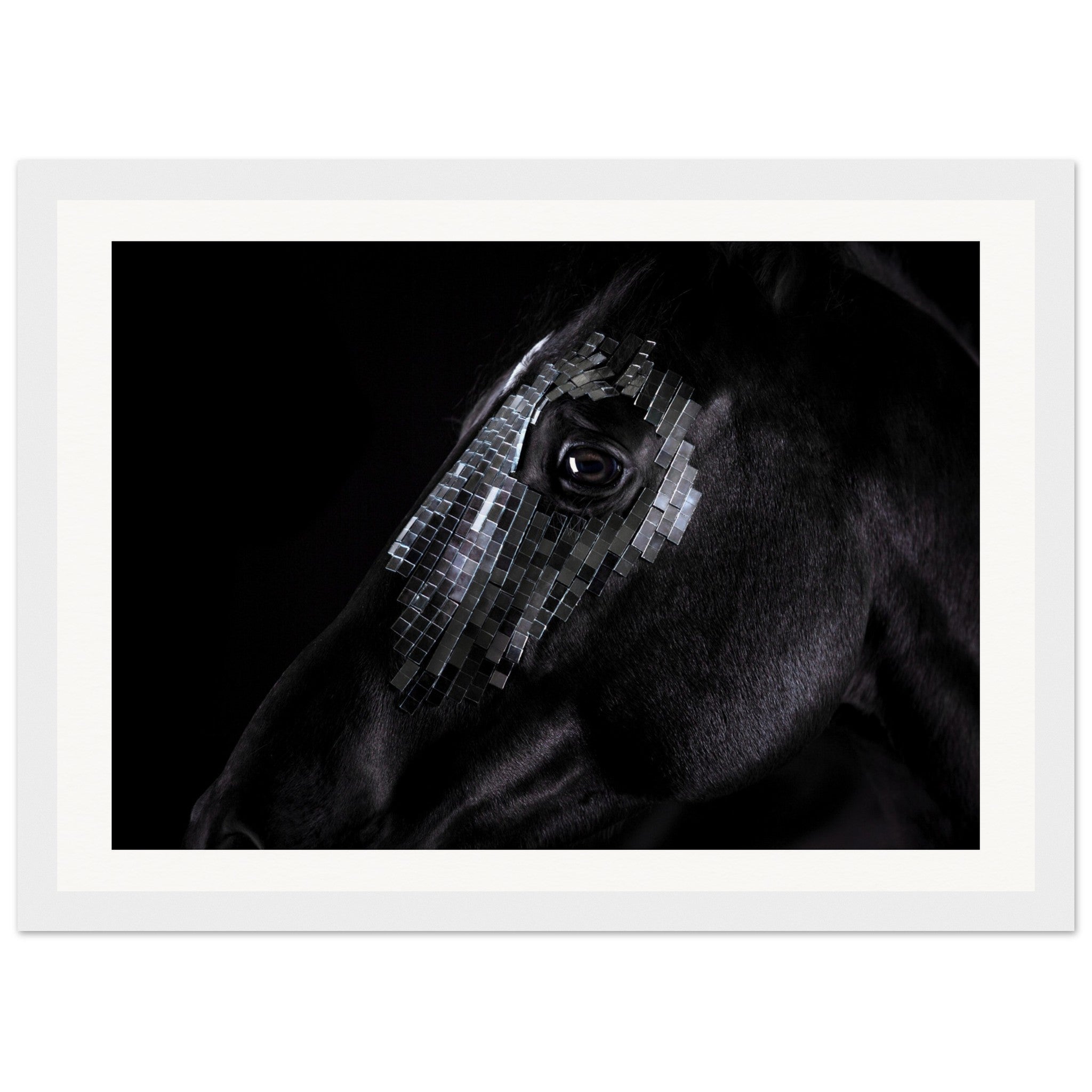 d957538c-6f76-497b-8e19-e2be13e8ccf1