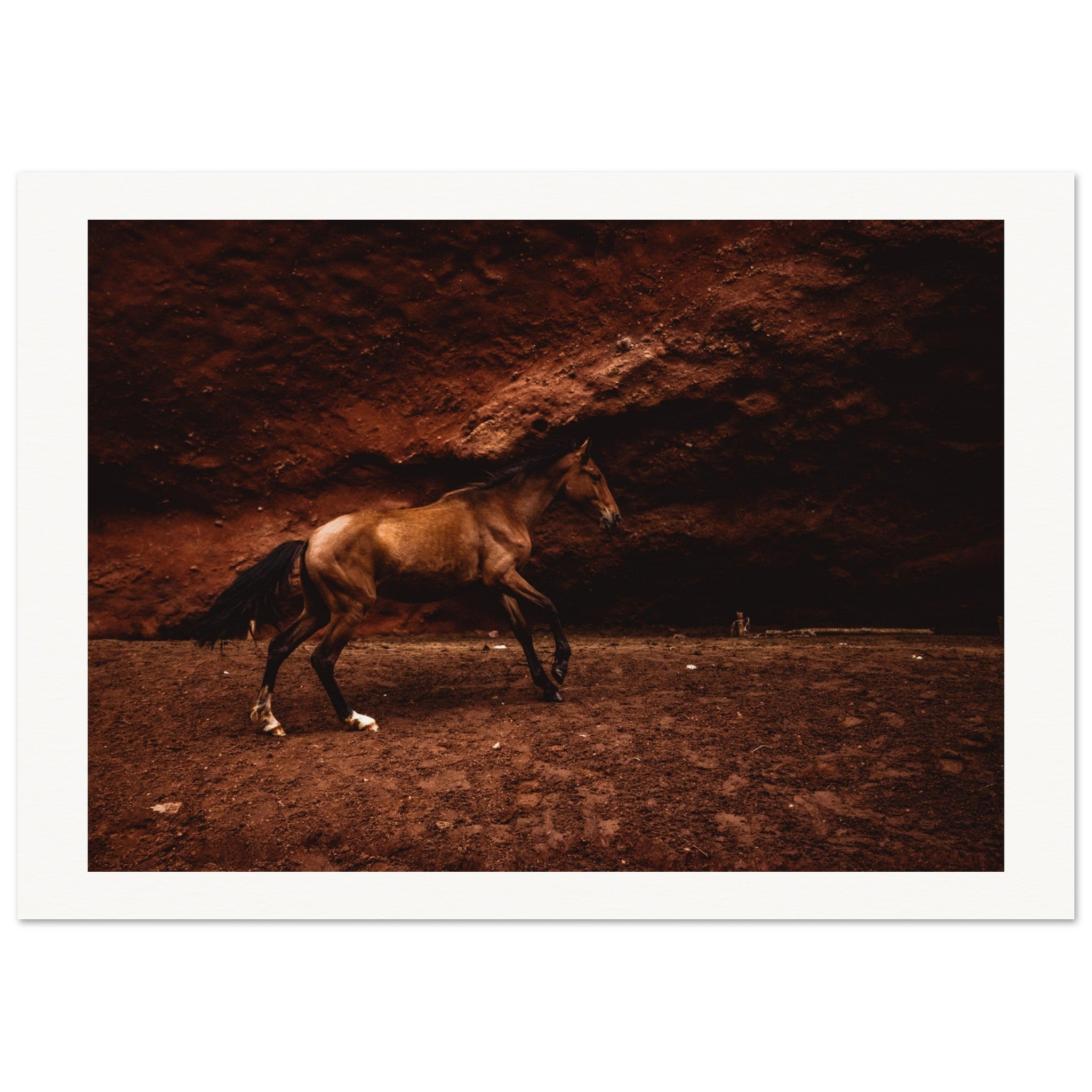 d98f6b49-b594-4ad1-b990-1e3658ea7327