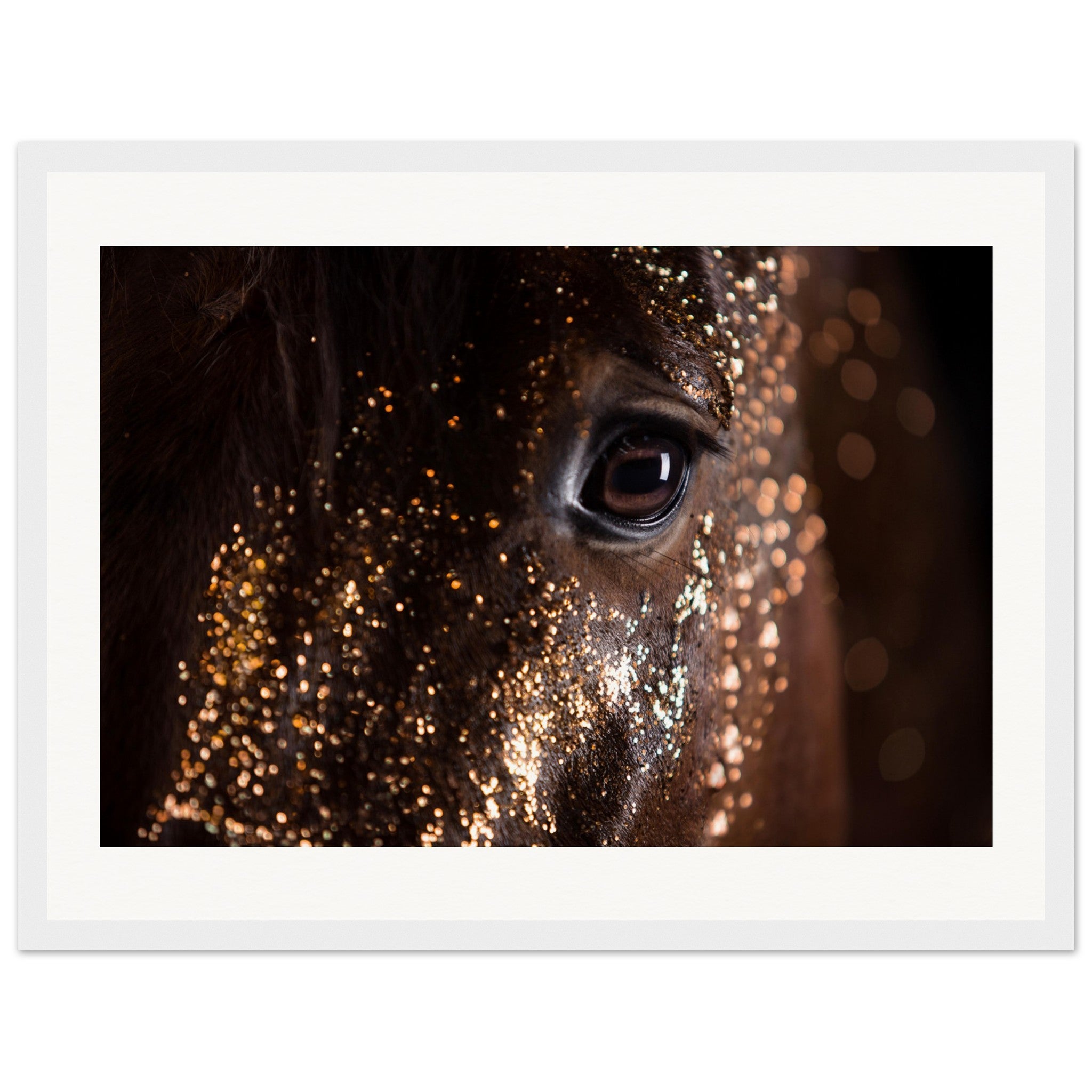 d998b231-911a-424d-889e-f8c52e1b8d70