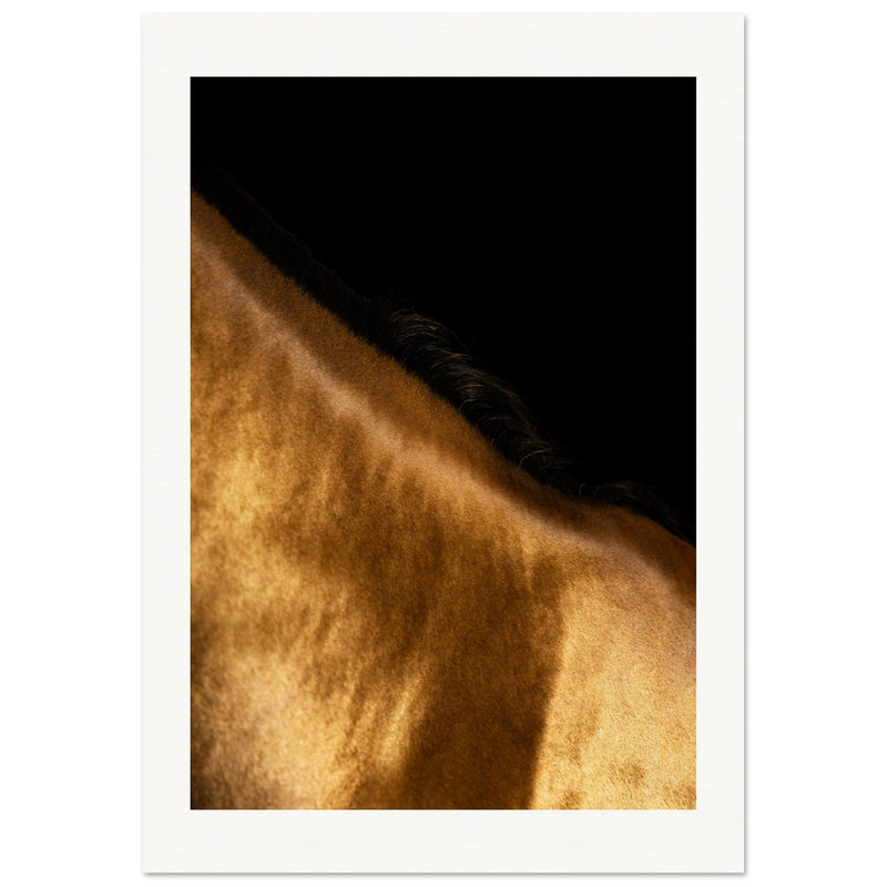 d9c46949-a643-45e7-b329-016d7e2c9a43