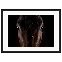 d9d6c81e-e168-446b-8cf4-6b61219cb88f