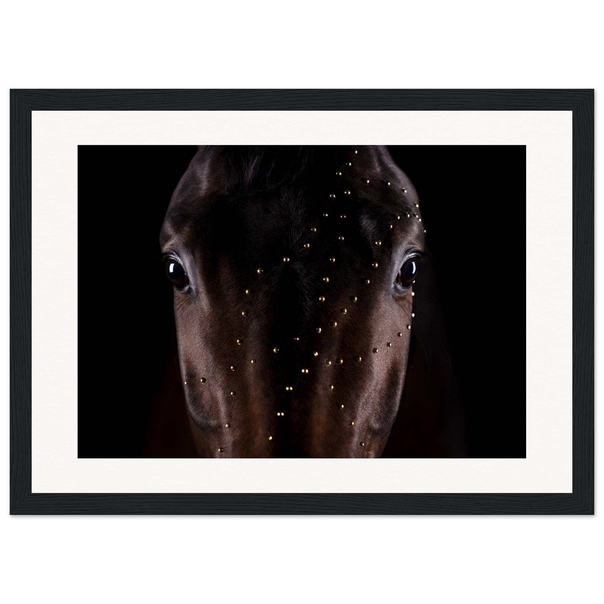 d9d6c81e-e168-446b-8cf4-6b61219cb88f