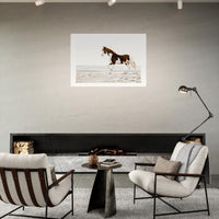 da33a6fd-823a-4449-b948-9d207c859442